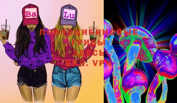 ГАЛЛЮЦИНОГЕННЫЕ ГРИБЫ Бронницы