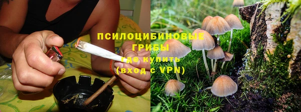 мдма Богородск