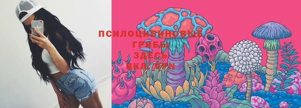 спайс Верея