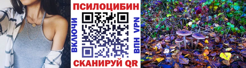 кракен   Верхоянск  Псилоцибиновые грибы Psilocybe  купить наркоту 