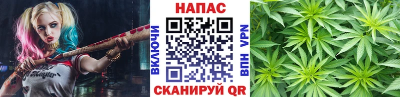 Конопля марихуана Верхоянск